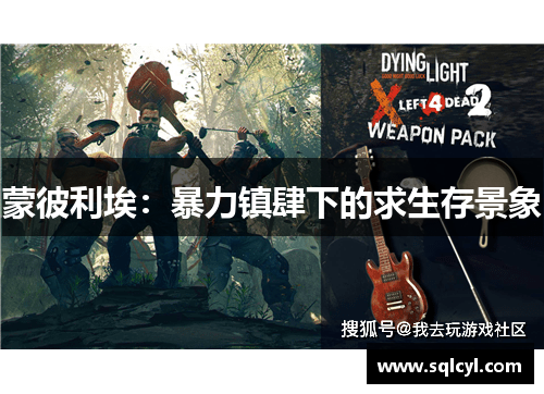 蒙彼利埃：暴力镇肆下的求生存景象